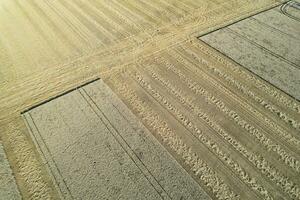 alto angolo panoramico paesaggio Visualizza di Britannico agricolo aziende agricole a campagna paesaggio di sharpenhoe battagli, luton città di Inghilterra UK. metraggio catturato su agosto 19, 2023 foto