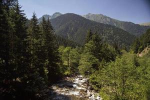 firtina ruscello, rize, mar nero, tacchino foto