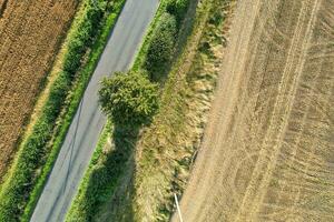 alto angolo metraggio di Britannico agricolo aziende agricole a campagna paesaggio nelle vicinanze luton città di Inghilterra grande Gran Bretagna di UK. metraggio era catturato con di droni telecamera su agosto 19, 2023 foto