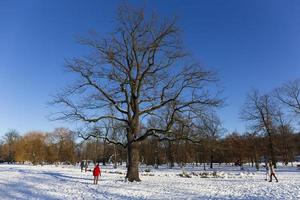 il più grande parco di praga stromovka nell'inverno nevoso foto