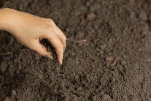 mano che tiene il terreno nero per coltivare il concetto di giornata mondiale del suolo delle colture