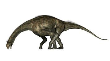 atlasauro dinosauro - 3d rendere foto