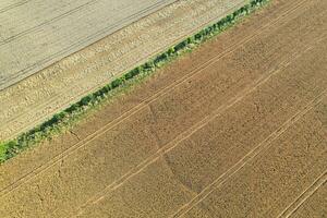 alto angolo metraggio di Britannico agricolo aziende agricole a campagna paesaggio nelle vicinanze luton città di Inghilterra grande Gran Bretagna di UK. metraggio era catturato con di droni telecamera su agosto 19, 2023 foto