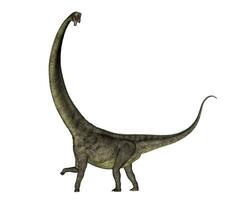 mamenchisauro dinosauro camminare - 3d rendere foto