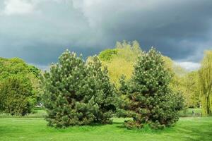 bellissima Basso angolo Visualizza di Locale pubblico parco di luton Inghilterra UK foto