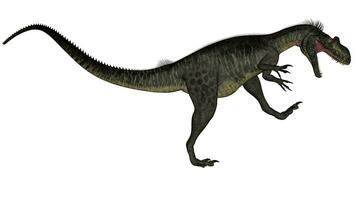 megalosaurus dinosauro - 3d rendere foto