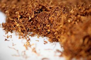 foglie di tabacco rollate da vicino sfondo stock photography stampe foto