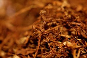 Rolling tabacco foglie da vicino sfondo moderno stock photography foto