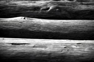 enorme mucchio di tronchi di legno tagliato foto