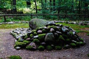 nella riserva naturale fischbeker heide vicino ad amburgo germania foto