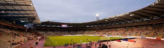 un' professionale footbal calciol stadio foto