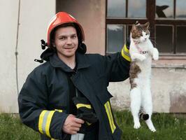 avvicinamento ritratto di eroico vigile del fuoco nel protettivo completo da uomo e rosso casco detiene salvato gatto nel il suo braccia. pompiere nel fuoco combattente operazione. foto