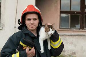 avvicinamento ritratto di eroico vigile del fuoco nel protettivo completo da uomo e rosso casco detiene salvato gatto nel il suo braccia. pompiere nel fuoco combattente operazione. foto