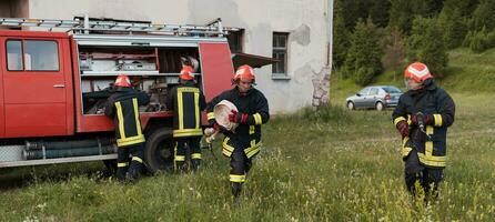 gruppo di fuoco combattenti in piedi fiducioso dopo un' bene fatto salvare operazione. pompiere pronto per emergenza servizio. foto