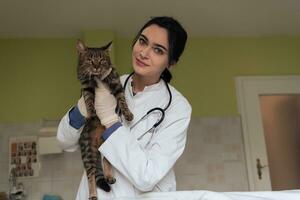 clinica veterinaria. ritratto medico femminile presso l'ospedale degli animali che tiene un simpatico gatto malato foto