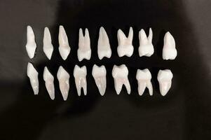 protesico odontoiatria bianca denti su nero sfondo orale dentale igiene dentale Salute concetto orale cura denti restauro superiore Visualizza. foto