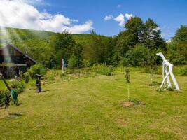 di legno Villetta Casa tradizionale naturale nel il foresta con giardino foto