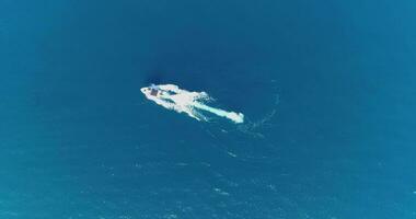 aereo superiore Visualizza di un' bianca piacere barca su un' estate giorno. motoscafo girare ciclo continuo otto su il mare fabbricazione infinito futuro concetto. foto