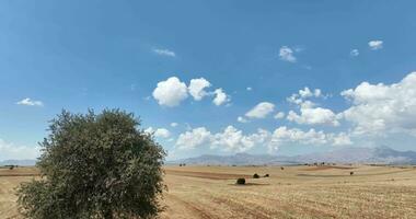 azienda agricola i campi sfondo struttura 4 K aereo Visualizza 4k tacchino antalya foto