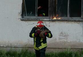 pompiere eroe trasporto bambino ragazza su a partire dal ardente edificio la zona a partire dal fuoco incidente. salvare persone a partire dal pericoloso posto foto