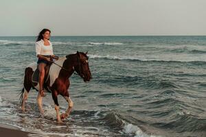 donna nel estate Abiti gode equitazione un' cavallo su un' bellissimo sabbioso spiaggia a tramonto. selettivo messa a fuoco foto