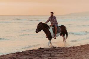 un' moderno uomo nel estate Abiti gode equitazione un' cavallo su un' bellissimo sabbioso spiaggia a tramonto. selettivo messa a fuoco foto