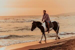 un' moderno uomo nel estate Abiti gode equitazione un' cavallo su un' bellissimo sabbioso spiaggia a tramonto. selettivo messa a fuoco foto