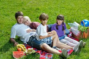 contento famiglia giocando insieme nel un' picnic all'aperto foto