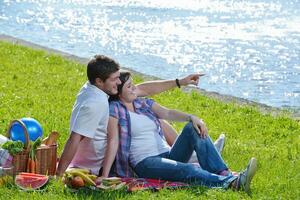 contento giovane coppia avendo un' picnic all'aperto foto