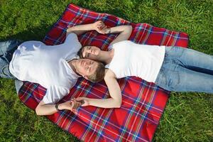 contento giovane coppia avendo un' picnic all'aperto foto