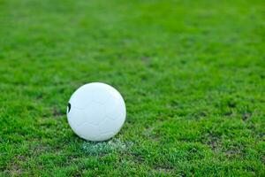 calcio palla su erba a obbiettivo e stadio nel sfondo foto