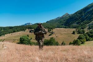 esercito soldato Tenere un' cecchino fucile con scopo e a piedi nel il foresta. guerra, esercito, tecnologia e persone concetto. foto