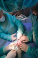 un team di chirurghi e veterinari che esegue un'operazione di castrazione o sterilizzazione su un gatto in un ospedale per animali. foto