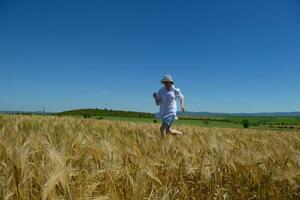 giovane donna nel campo di grano in estate foto