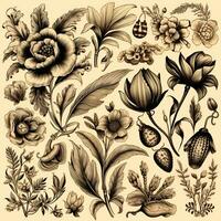 nero e bianca disegni di fiori e impianti, mano disegni foto