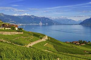 lavaux regione, Vaud, hdr foto