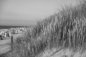 estate tempo su langeoog isola foto