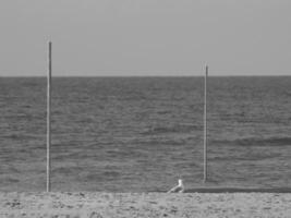 Tedesco isola nel il nord mare foto