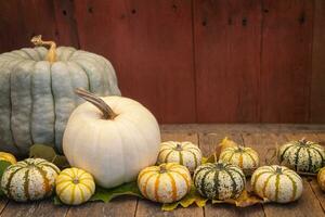 autunno zucca Schermo su vecchio azienda agricola tavolo con rosso fienile legna foto