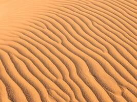 sabbia dune di il deserto foto