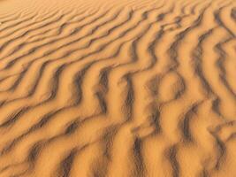 sabbia dune di il deserto foto