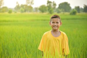 asiatico giovane ragazzo Sorridi carino e affascinante Là è un' sensazione di felicità e divertente, giovane asiatico ragazzo il giallo camicia su il sfondo di il riso i campi e il chiaro cielo con il morbido Alba. foto