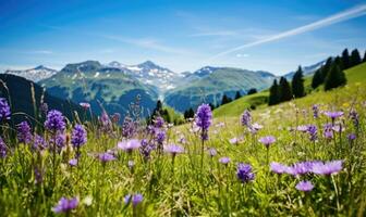 vasto alpino prato tratteggiata con vivace fiori selvatici, con maestoso snow-capped montagne nel il sfondo. creato di ai utensili foto