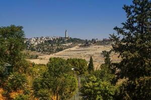 montare di olive, Gerusalemme, Israele foto