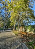 panchina nel carouge città, Ginevra, Svizzera foto