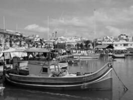 il isola di Malta foto