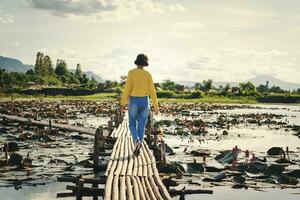 femmina turista è a piedi su un' bambù ponte nel un' fiume con un' loto foto
