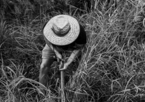 giovane contadino giardinaggio nel il Giardino dietro la casa foto