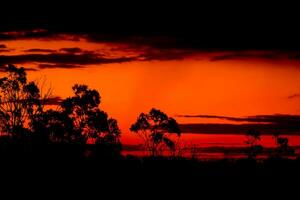 tramonto su il cima nel Queensland foto