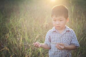 felice piccolo ragazzo asiatico che gioca all'aperto. carino asiatico. ragazzo in campo. foto